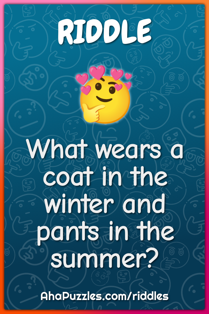 What wears a coat in the winter and pants in the summer?