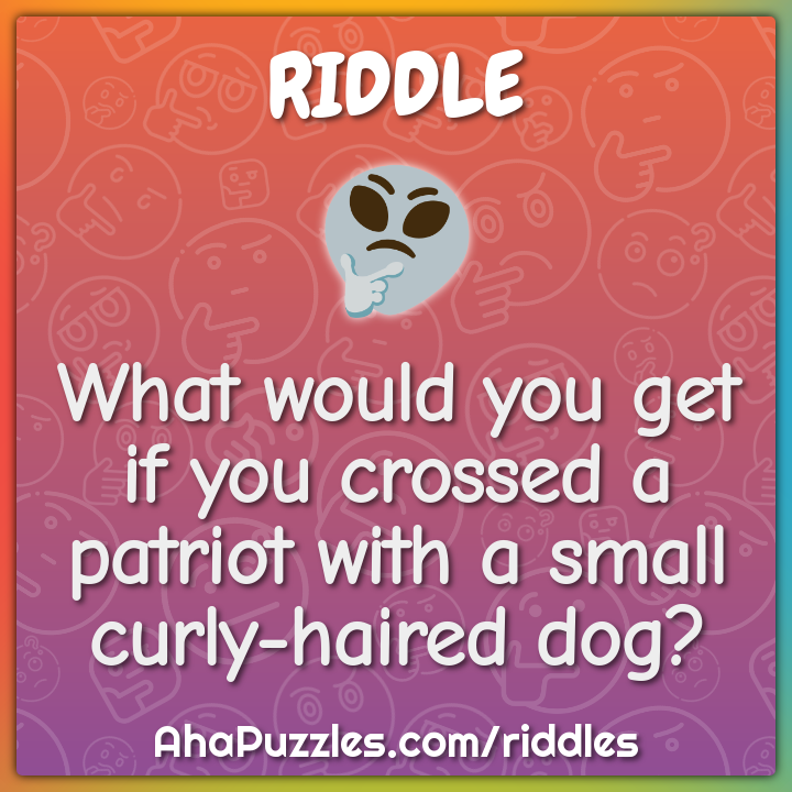 What would you get if you crossed a patriot with a small curly-haired...