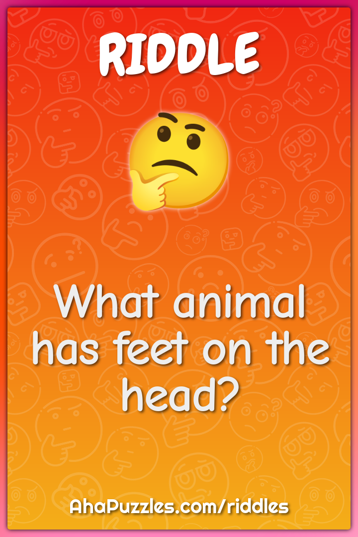 What animal has feet on the head?