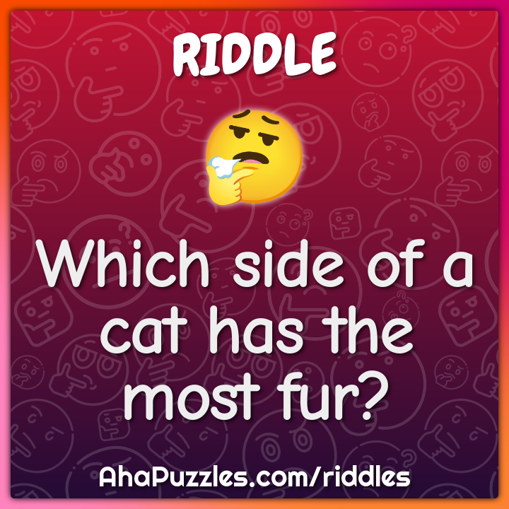 Which side of a cat has the most fur?