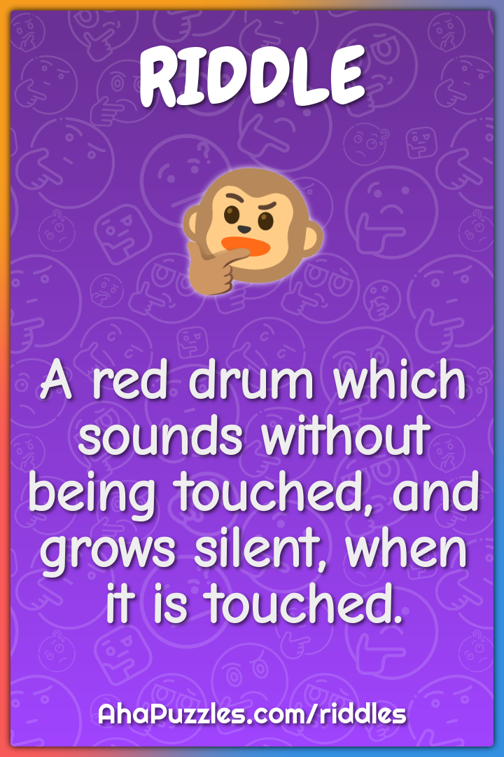 Red Drum Portrait